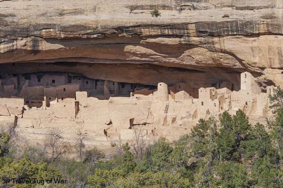 Cliff Palace, largest cliff dwelling at Mesa Verde National Park, with ladders and towers